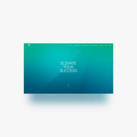 Website Viewport von Elevation Training